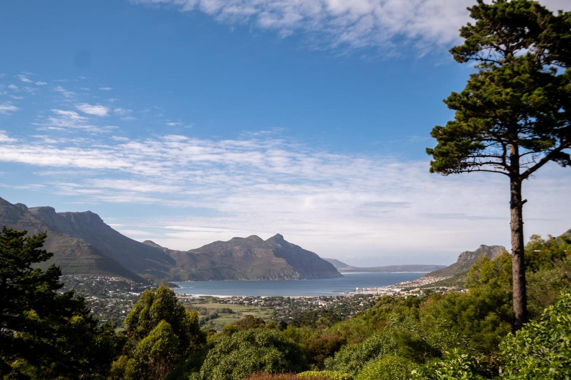 Dreamhouse Guest House Hout Bay Exterior foto